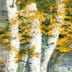 Autumn Birches