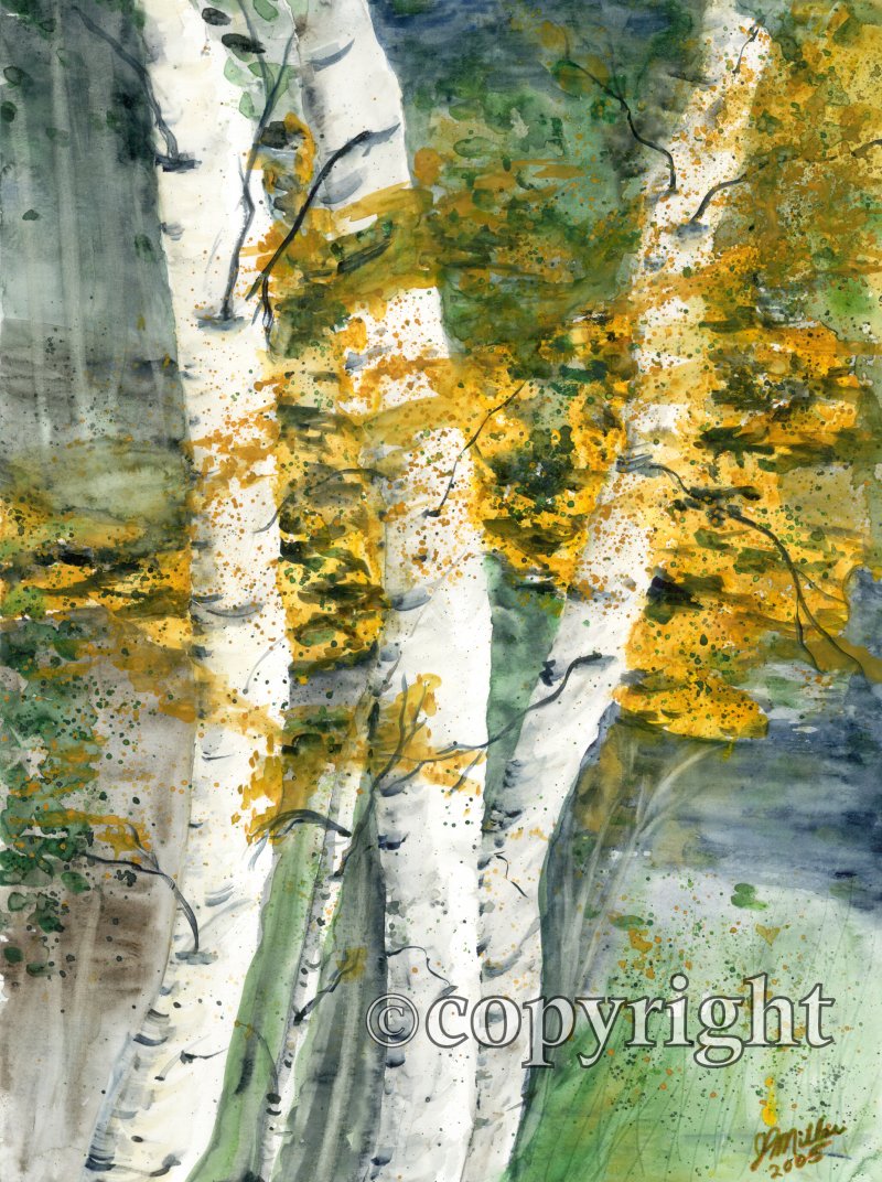 Autumn Birches